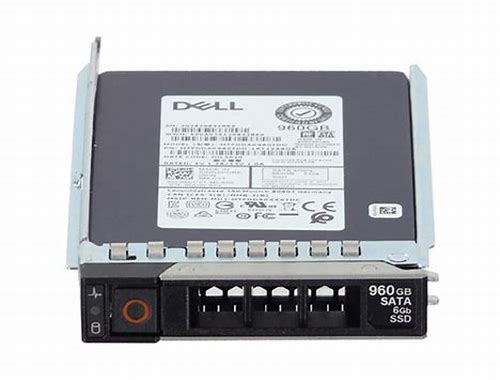 960GB SSD SATA READ INTENSIVE 6GBPS 512E 2.5IN HOT-PLUG, CUS KIT