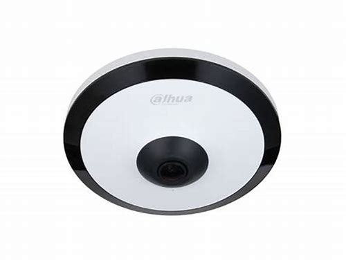 DH-IPC-EW5541N-AS